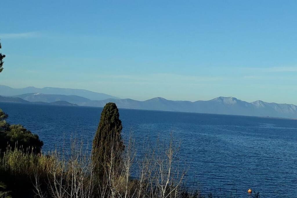 Amazing Sea View-Neos Pyrgos Beach -Evoia Greece Neos Pirgos Luaran gambar