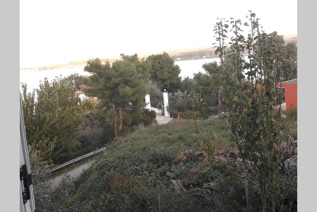 Amazing Sea View-Neos Pyrgos Beach -Evoia Greece Neos Pirgos Luaran gambar